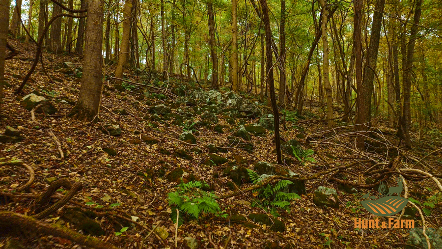 Still 2025-10-30 092500_1.62.1.png